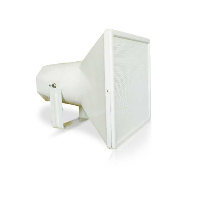 ����̖������